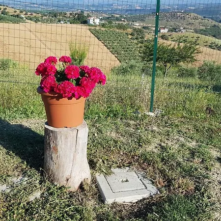 Chalet In Campagna * Citta Sant'Angelo