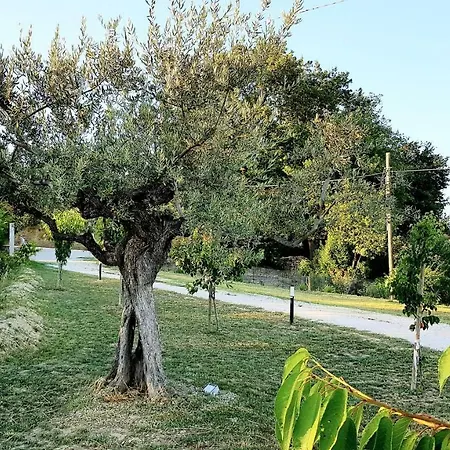 Chalet In Campagna * Citta Sant'Angelo