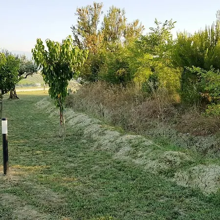 Chalet In Campagna Citta Sant'Angelo